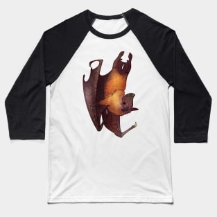 Cozy Large Flying Fox Baseball T-Shirt